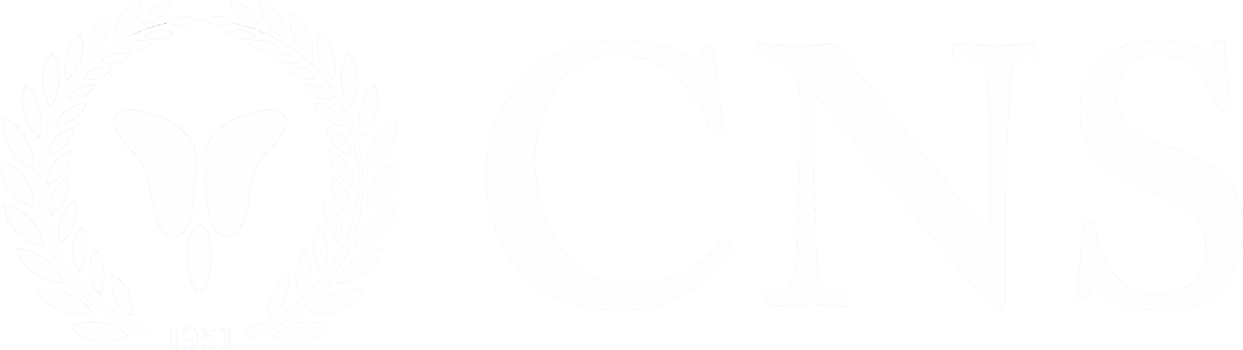 CNS Logo RGB Primary Positive white