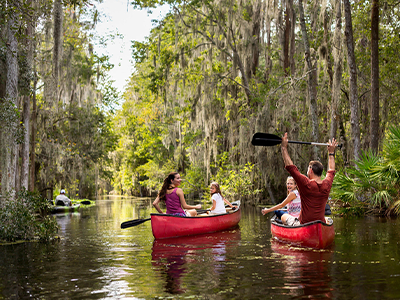 Florida Nature and Outdoor Adventures 2
