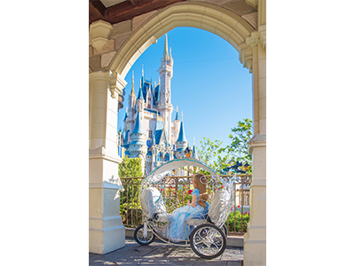 Orlando Attractions2